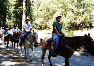 Picture of riders on horseback.