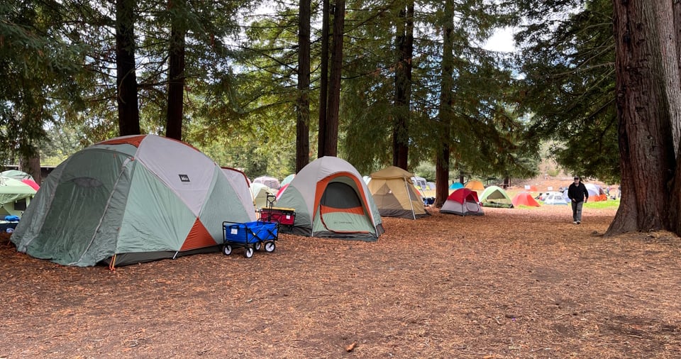 Picture of tents pitched in a forested area. Picture of tents pitched in a forested area.