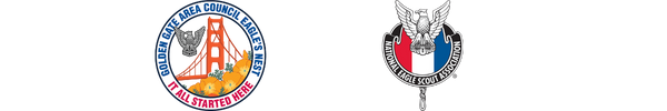 Header strip showing NESA badge and our Council's circular patch. Header strip showing NESA badge and our Council's circular patch.