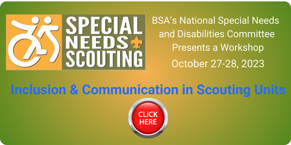 Banner promoting the Special Needs & Disabilities workshop